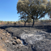 Incendio en Madroñera.