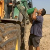 Agricultor refrescándose gracias a un botijo