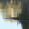 Río Guadiana