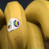 Plátano con la etiqueta de Canarias