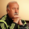 Vicente del Bosque