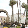 "Domingo de Adas" en el Carnaval Romano