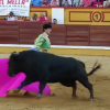 toros feria de san juan de badajoz