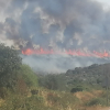 Incendio forestal Monterrubio de la Serena
