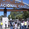 Feria de Zafra