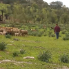 Efectos de la lluvia en el campo