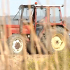 Optimismo en el campo ante las últimas lluvias