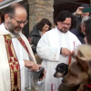 Bendición de animales en Plasencia