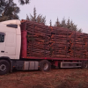 Accidente en la Aceña de la Borrega