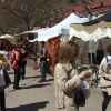 Fiesta del Cerezo en Flor