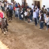 Carreras de caballos en Navas del Madroño
