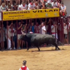 Toro Capuchón en los Sanjuanes de Coria