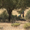 La Guardia Civil inspecciona el lugar del accidente