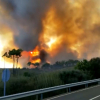 Incendio en la zona de Collado de la Vera y Jaraíz
