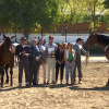 Feria de Zafra