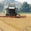 Máquina agrícola realizando labores en el campo