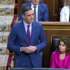 Pedro Sánchez, durante el último debate en el Congreso