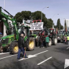 Tractoradas