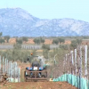 Las organizaciones agrarias temen el carpetazo definitivo del proyecto. Hablan de "tomadura de pelo"