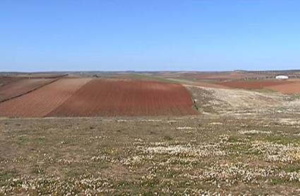 Consecuencias del cambio climático