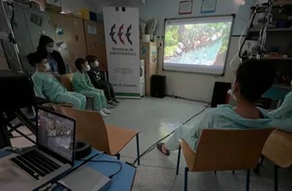 "Cine en los hospitales": Una iniciativa para mejorar el bienestar emocional de las personas hospitalizadas