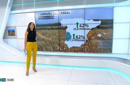 Silvia Solano informa desde plató de los datos con los que ha arrancado la campaña del cereal en nuestra región
