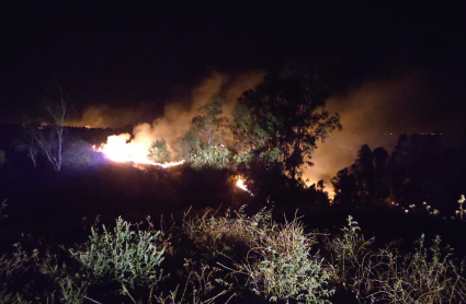 Incendio forestal de Lobón