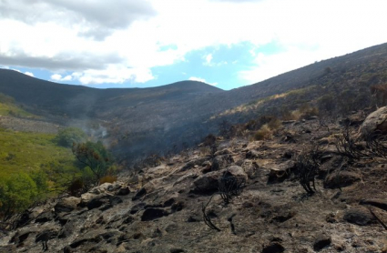 Imagen de las hectáreas devoradas por el fuego 