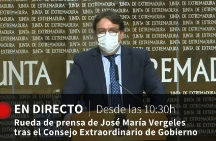 Rueda de prensa de José María Vergeles tras el Consejo de Gobierno