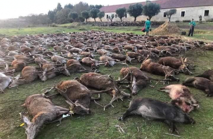 Imagen de la montería publicadas en Facebook y recogida por el portal luso RTP