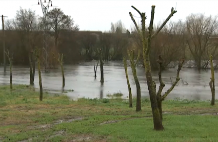 Imagen de un merendero de Galisteo inundado por el desbordamiento del río Jerte