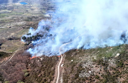 Incendio forestal en Rebollar
