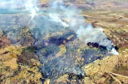 Incendio forestal en Navaconcejo