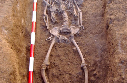 Restos encontrados en Mérida de las llamadas princesas bárbaras