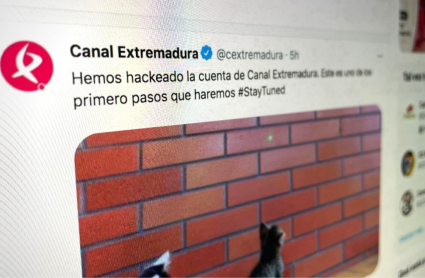 Durante más de 2 horas las redes sociales de Canal Extremadura han mostrado fotos de gatitos.