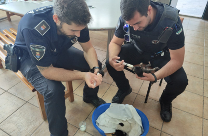 Agentes de la Policía Local de Los Santos de Maimona alimentando a los gatos