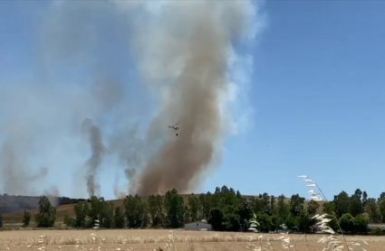 Incendio en la barriada de Las Cuestas de Orinaza.