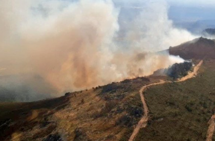 Incendio en Cañaveral