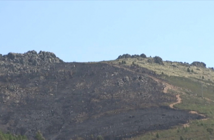 Zona del incendio de Cañaveral