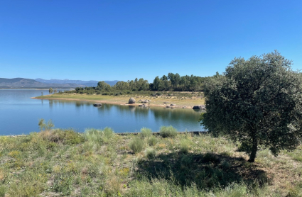 Embalse de Gabriel y Galán