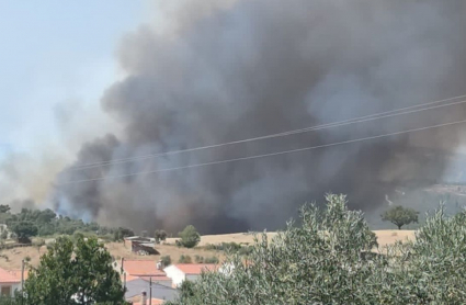 Incendio en Cedillo