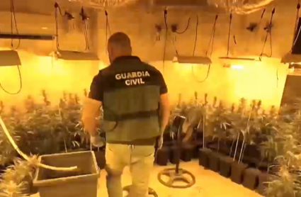 Agente de la Guardia Civil durante la operación