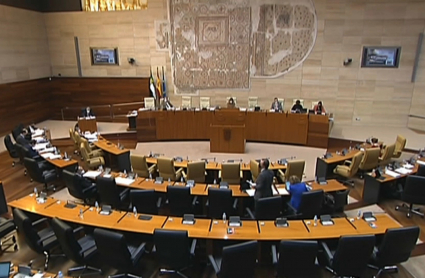 Un momento del debate en la Asamblea de Extremadura