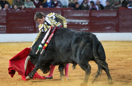 El diestro Julián López "El Juli" da una pase a un toro de la ganadería de Zaluendo, este sábado en la Feria de Olivenza, que celebra su 31 edición tras el parón de los dos años anteriores por la pandemia.