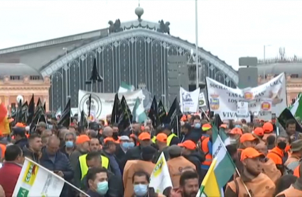 Manifestación del campo el 20M en Madrid