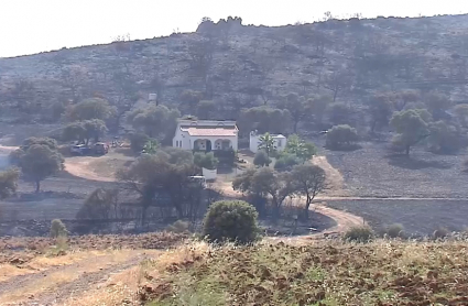 Incendio Peraleda del Zaucejo