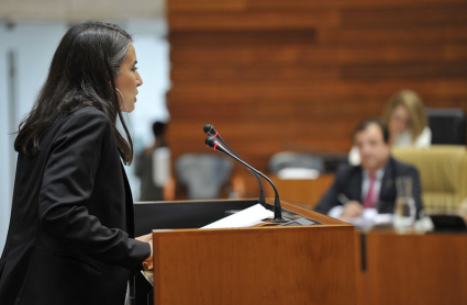 Irene de Miguel, durante su intervención parlamentaria