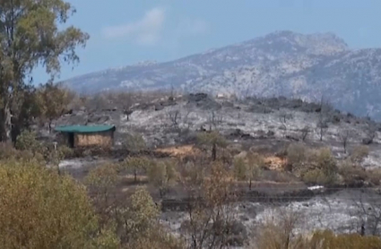 Incendio Villanueva de la Vera julio 2022