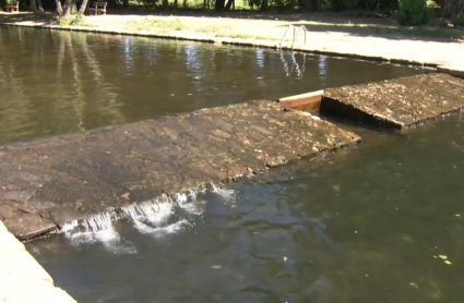 Polémica por el agua de la piscina de La Codosea