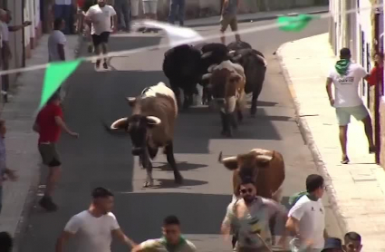 toros buenaventura